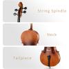 imageEastar Acoustic Cello 44 for Beginners Adult Imprinted Finger Guide for BeginnersCellos Kit with Cello Stand Case Bow Bridge Rosin Extra Set of Strings Full SizeMatt Natural Varnish