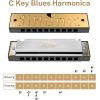 imageEastar Admiral 24 Holes Harmonica Key of C Tremolo for Beginners Adults Kids Performance Competition Mouth Organ with Hard Case and Cloth SilverMulticolor