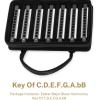 imageEastar Admiral 24 Holes Harmonica Key of C Tremolo for Beginners Adults Kids Performance Competition Mouth Organ with Hard Case and Cloth SilverMulticolor