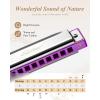 imageEastar Admiral 24 Holes Harmonica Key of C Tremolo for Beginners Adults Kids Performance Competition Mouth Organ with Hard Case and Cloth SilverPurple