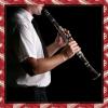 imageEastar B Flat Clarinet for Beginner Ebonite Clarinet Nickelplated with 2 Barrels 3 Reeds White Gloves Hard Case Cleaning Kt ECL300Beginner