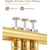 imageEastar Bb Standard Trumpet Set for Beginner Brass Student Trumpet Instrument with Hard Case Cleaning Kit 7C Mouthpiece and Gloves ETR380 GoldenGold