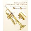 imageEastar Bb Standard Trumpet Set for Beginner Brass Student Trumpet Instrument with Hard Case Cleaning Kit 7C Mouthpiece and Gloves ETR380 GoldenGolden