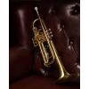 imageEastar Bb Standard Trumpet Set for Beginner Brass Student Trumpet Instrument with Hard Case Cleaning Kit 7C Mouthpiece and Gloves ETR380 GoldenGolden