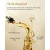 imageEastar Student Alto Saxophone E Flat for Beginner Sax Full Kit with Carrying Case Mouthpiece Straps Reeds Stand Golden Lacquer ASGold Lacquer
