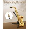 imageEastar Student Alto Saxophone E Flat for Beginner Sax Full Kit with Carrying Case Mouthpiece Straps Reeds Stand Golden Lacquer ASGolden