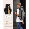 imageEastar Student Alto Saxophone E Flat for Beginner Sax Full Kit with Carrying Case Mouthpiece Straps Reeds Stand Golden Lacquer ASGolden Lacquer