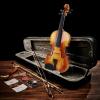 imageEastar Violin 44 Full Size for Adults Violin Set for Beginners with Hard Case Rosin Shoulder Rest Bow and Extra Strings Imprinted Finger Guide on Fingerboard EVA2Two Bows