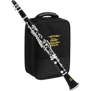 imageEastar B Flat Clarinet for Beginner Ebonite Clarinet Nickelplated with 2 Barrels 3 Reeds White Gloves Hard Case Cleaning Kt ECL300Silver keys  Commander style