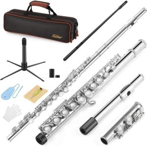imageEastar Closed Hole 16 Keys Flute for Beginner Kids Student with Cleaning Kit Stand Case Gloves Tuning Rod Nickel EFL1Nickel