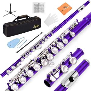 imageEastar Closed Hole 16 Keys Flute for Beginner Kids Student with Cleaning Kit Stand Case Gloves Tuning Rod Nickel EFL1Purple
