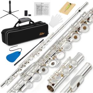 imageEastar Closed Hole 16 Keys Flute for Beginner Kids Student with Cleaning Kit Stand Case Gloves Tuning Rod Nickel EFL1Silver