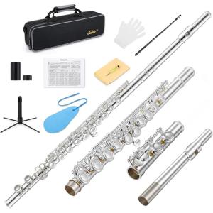 imageEastar Closed Hole 16 Keys Flute for Beginner Kids Student with Cleaning Kit Stand Case Gloves Tuning Rod Nickel EFL1Silver Plated