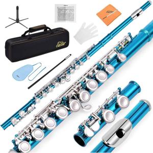 imageEastar Closed Hole 16 Keys Flute for Beginner Kids Student with Cleaning Kit Stand Case Gloves Tuning Rod Nickel EFL1Sky Blue