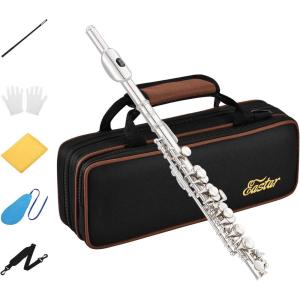 imageEastar Piccolo Instrument for Beginners Students Key of C Flute Resin Hard Case Cleaning Kit Gloves 2Piece Black EPC3SSilver