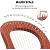 imageDonner Lyre Harp 7 Metal Strings Mahogany Body and Bone Saddle DLH001 Lyre Harp for Beginner Kids with Tuning Wrench Spare String Set Black Gig Bag Manual Ancient Greece Style16 Strings